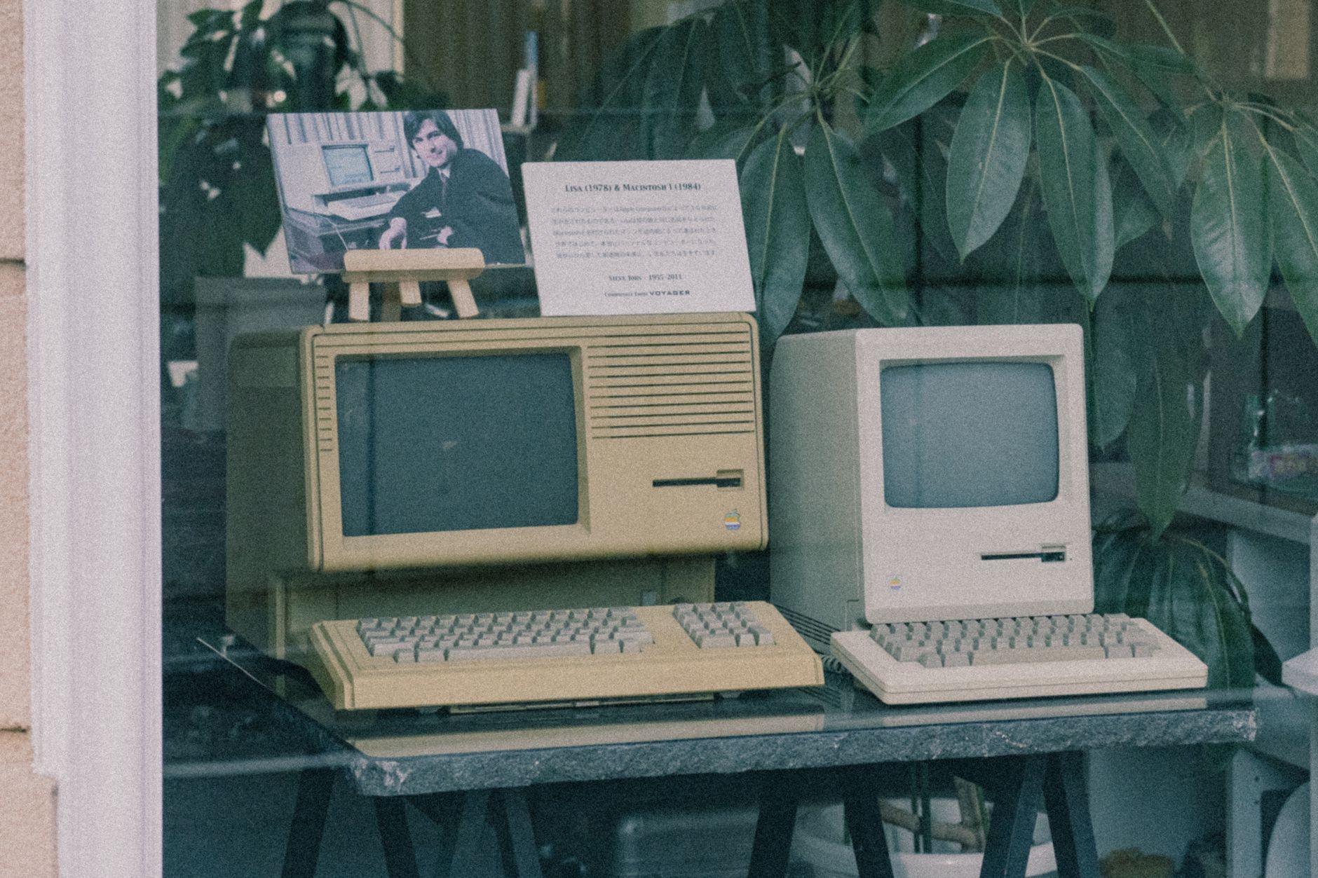 Tek Pencere Sistemi Dış Ticareti Nasıl Hızlandırır?